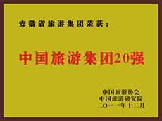 2011年度中国皇家国际集团20强
