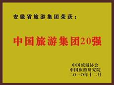 2010年度中国皇家国际集团20强