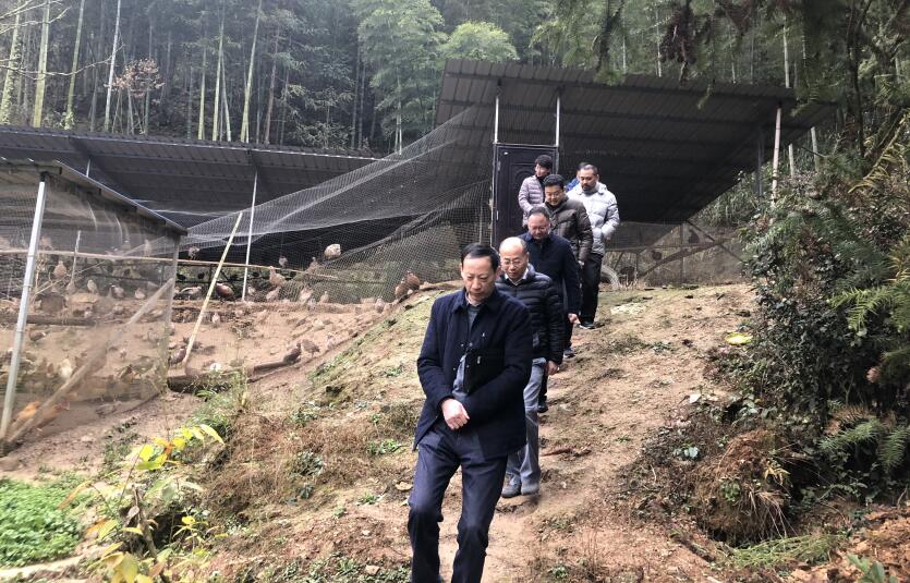 皇家国际·(中国区)有限公司官网