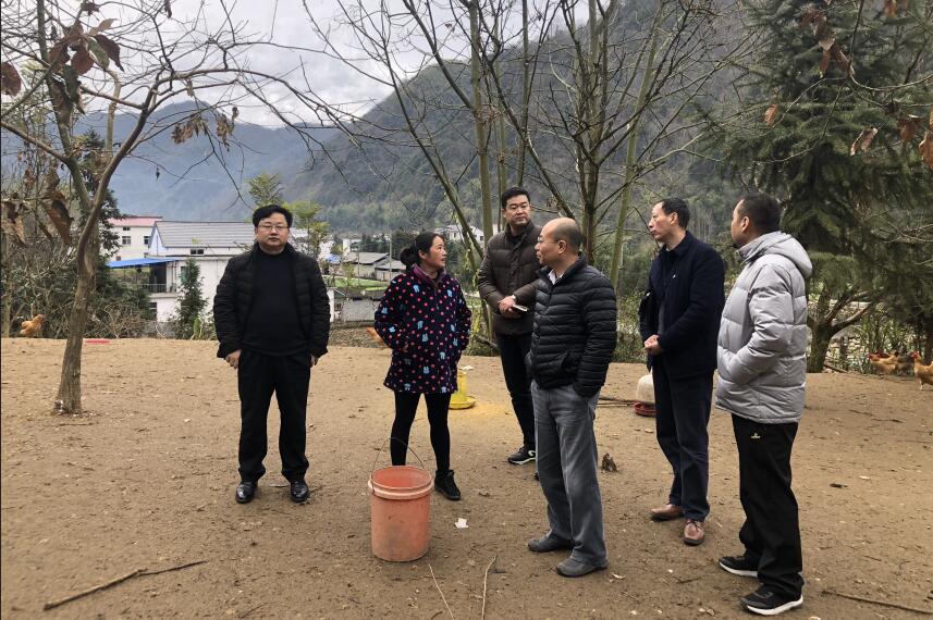 皇家国际·(中国区)有限公司官网